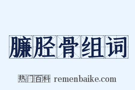 臁胫骨组词是什么意思的图片
